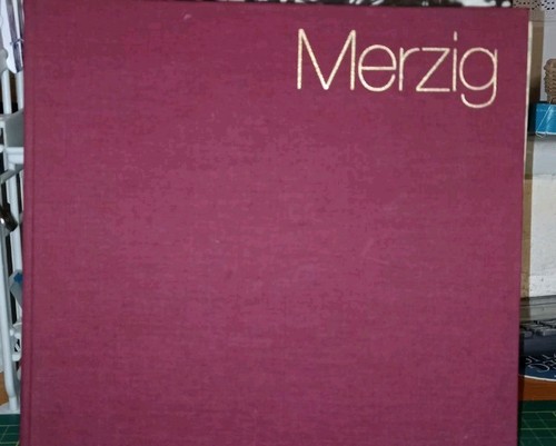 Merzig bild einer stadt - merzig,